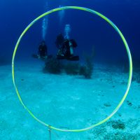 a hula hoop suspended underwater for scuba divers to swim through to practice buoyancy