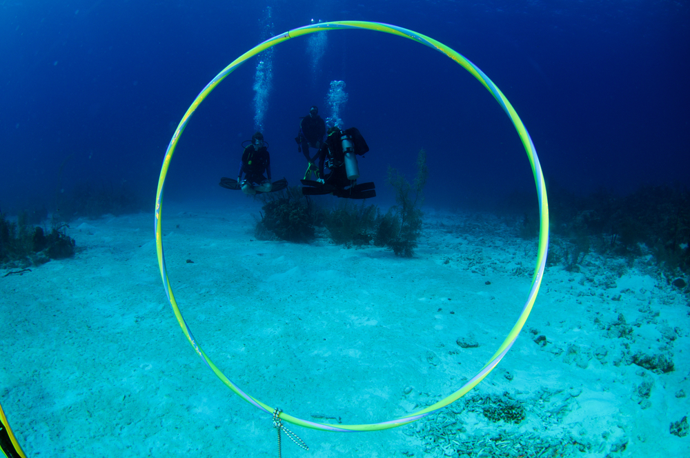a hula hoop suspended underwater for scuba divers to swim through to practice buoyancy