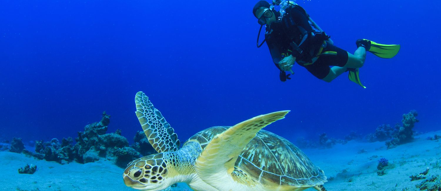 6 Reasons to Become a Diver in 2017