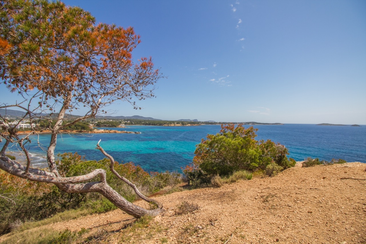 Beautiful seascape of the Mediterranean Sea with colorful pine tree and the rocky coast of Ibiza island near Santa Eulalia del Rio, Spain