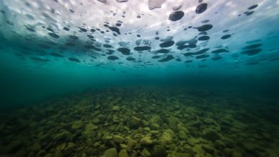 under_ice_bubbles