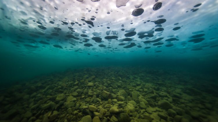 under_ice_bubbles