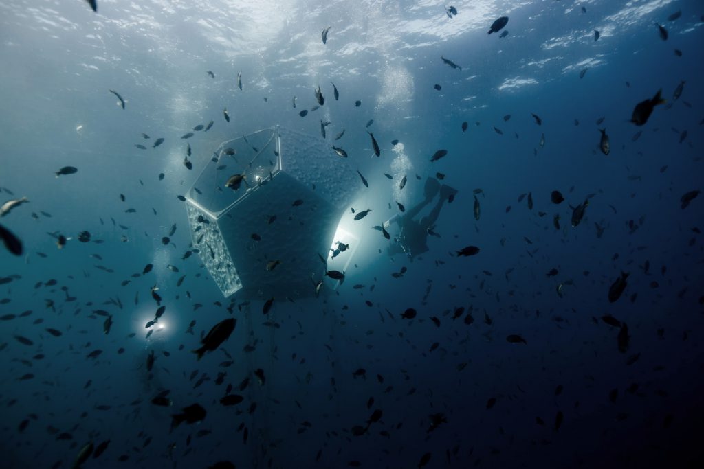 Parley for the Oceans Underwater Pavilions Catalina