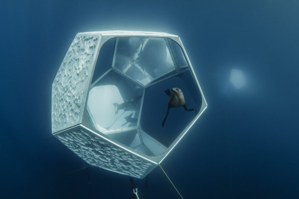 Parley for the Oceans Underwater Pavilions Catalina