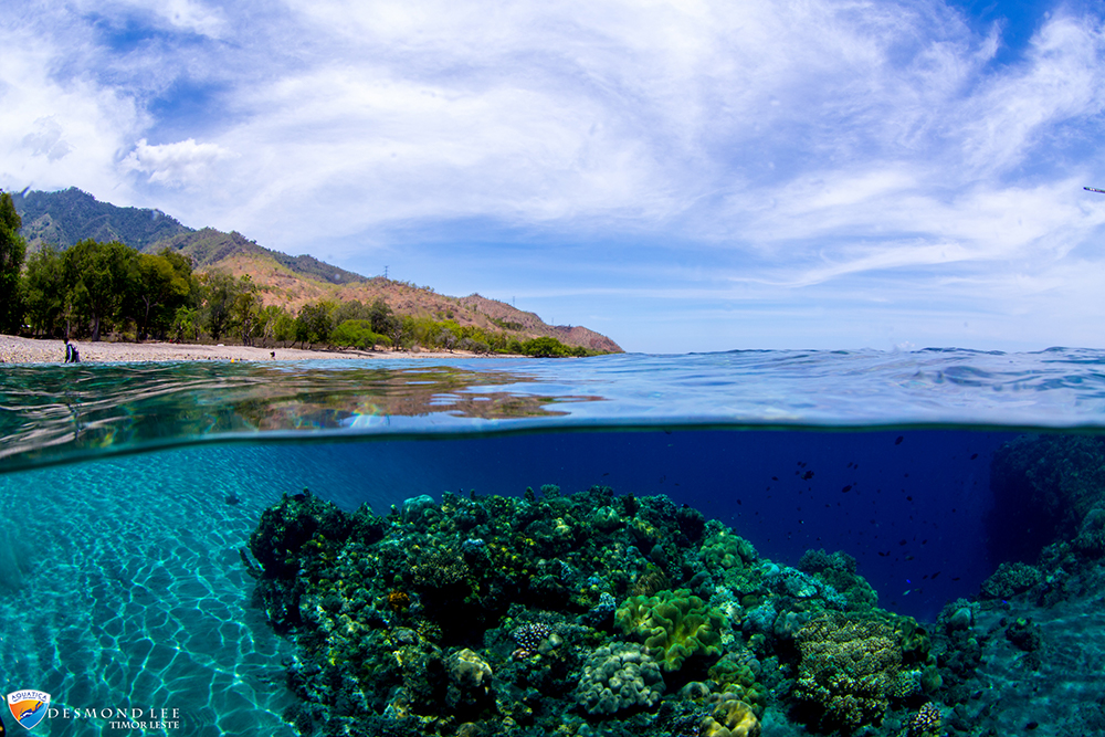 PADI Divemaster - timor leste