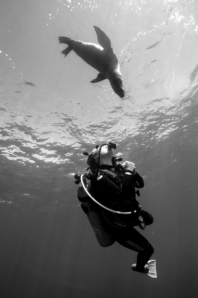 La Paz Mexico with PADI AmbassaDivers