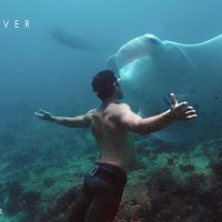 freediving_with_manta