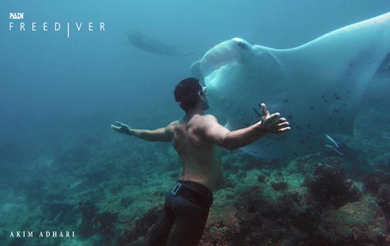 freediving_with_manta