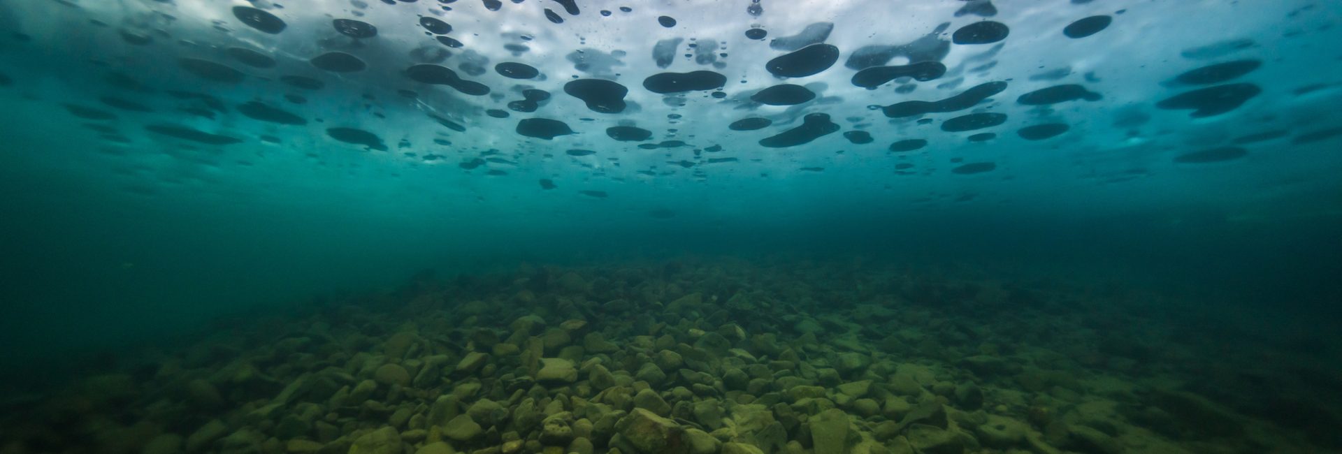 Top 5 Winter Diving Hotspots