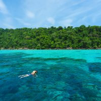 Snorkeling in thailand from shutterstock