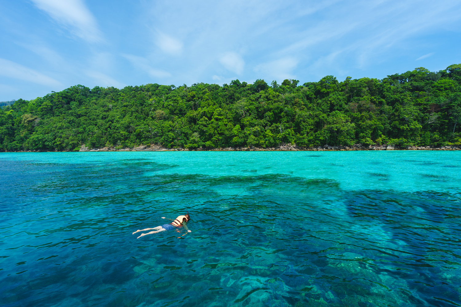 From Snorkeling to Getting Scuba Certified: What You Need to Know