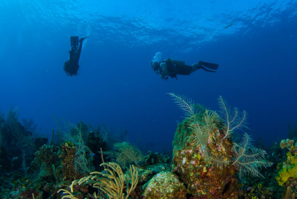 scuba diving in the Grand Cayman in the Caribbean from shutterstock