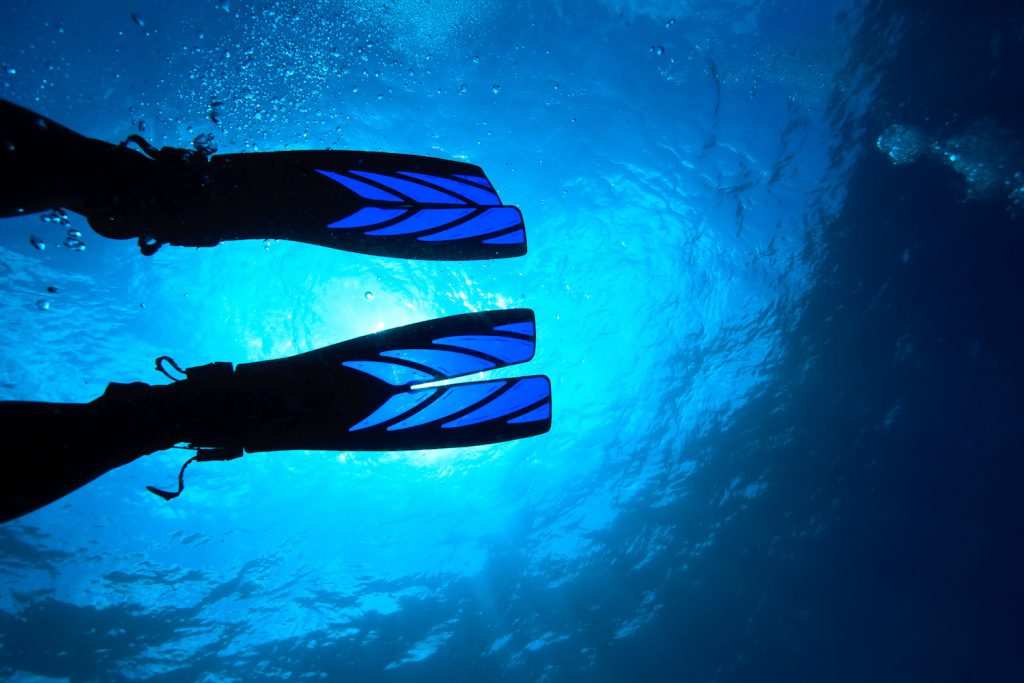 scuba diving fins from shutterstock