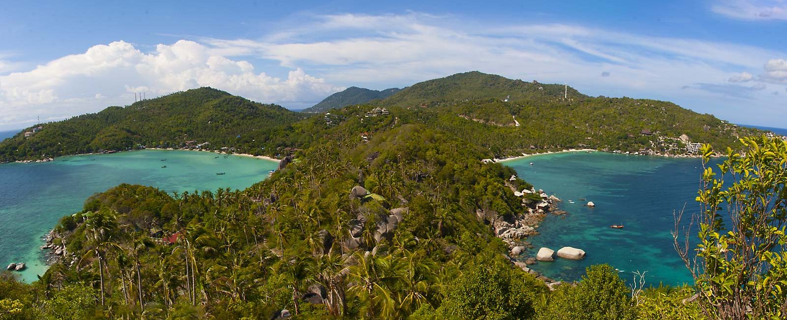 7 Reasons Why Divers Love Koh Tao (and Never Want to Leave)
