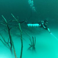 Cenote Angelita Photo: Brenda Nelson