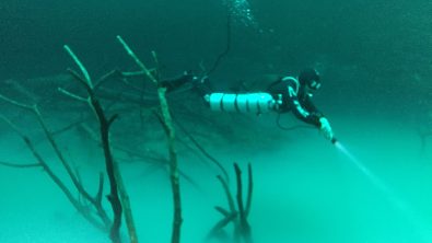 Cenote Angelita Photo: Brenda Nelson
