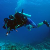 liveaboard-egypt-buddy