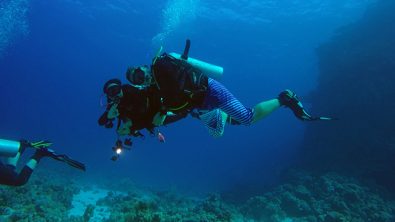 liveaboard-egypt-buddy
