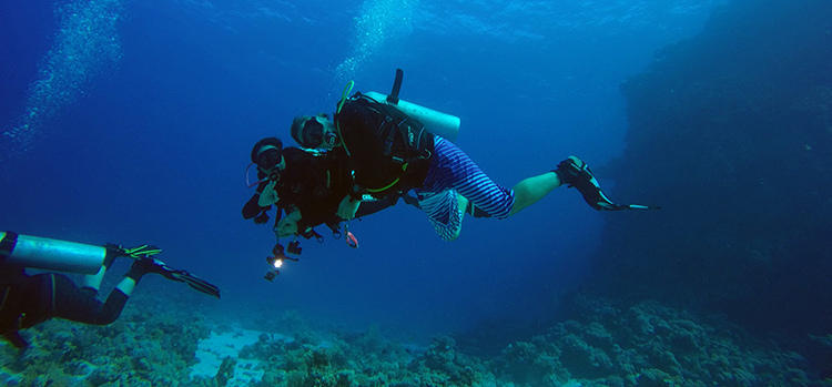 egypt-liveaboard-buddy