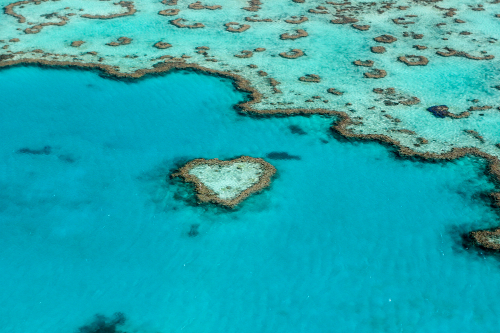 Heart shaped reef in Great Barrier Reef 