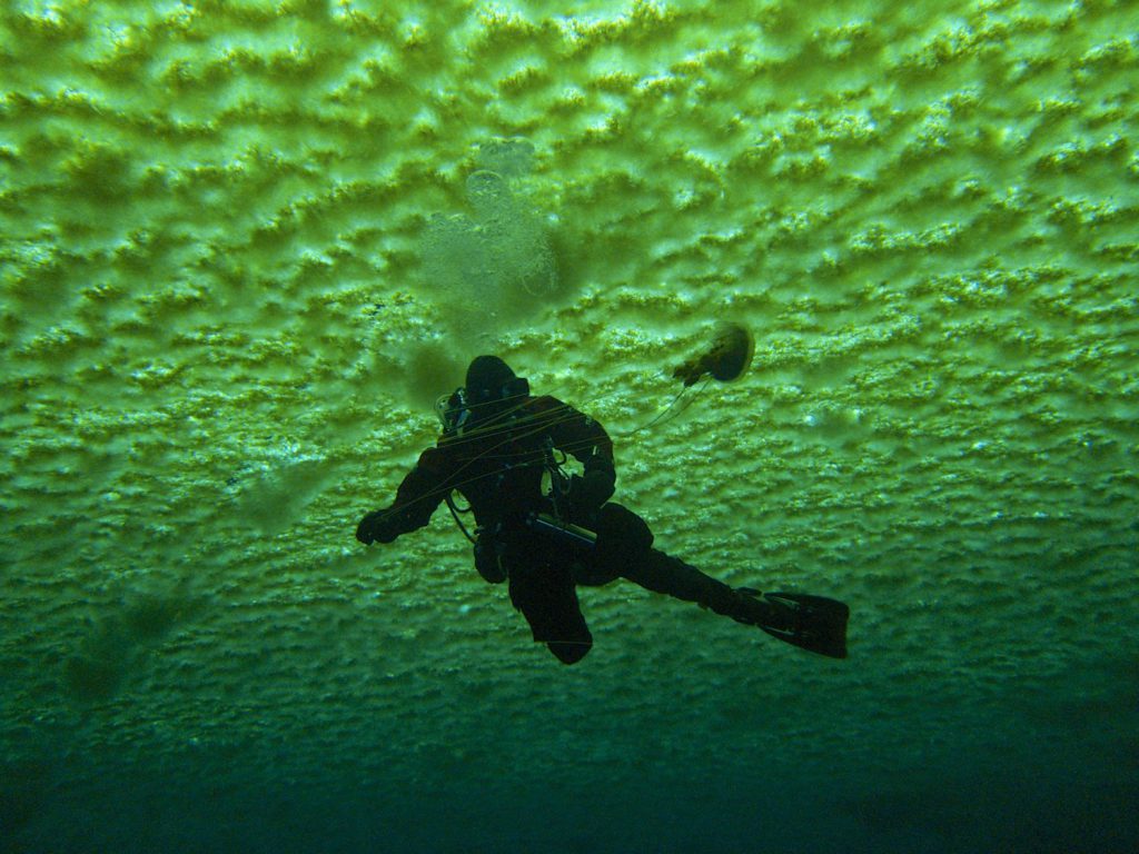 Antarctica diving Photo: Rob Robbins