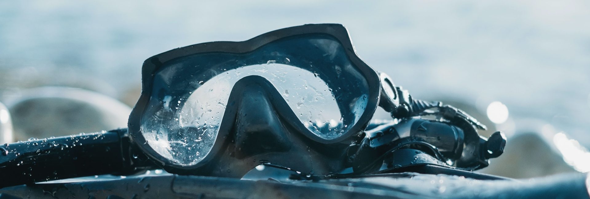 A Guide to Freediving Equipment for Entry Level Freedivers
