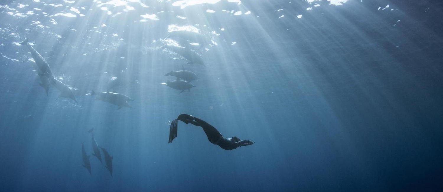 8 Tips for Beginner Freedivers