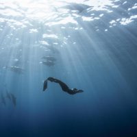 Freediver Mandy Sumner Photo: John Dornellas