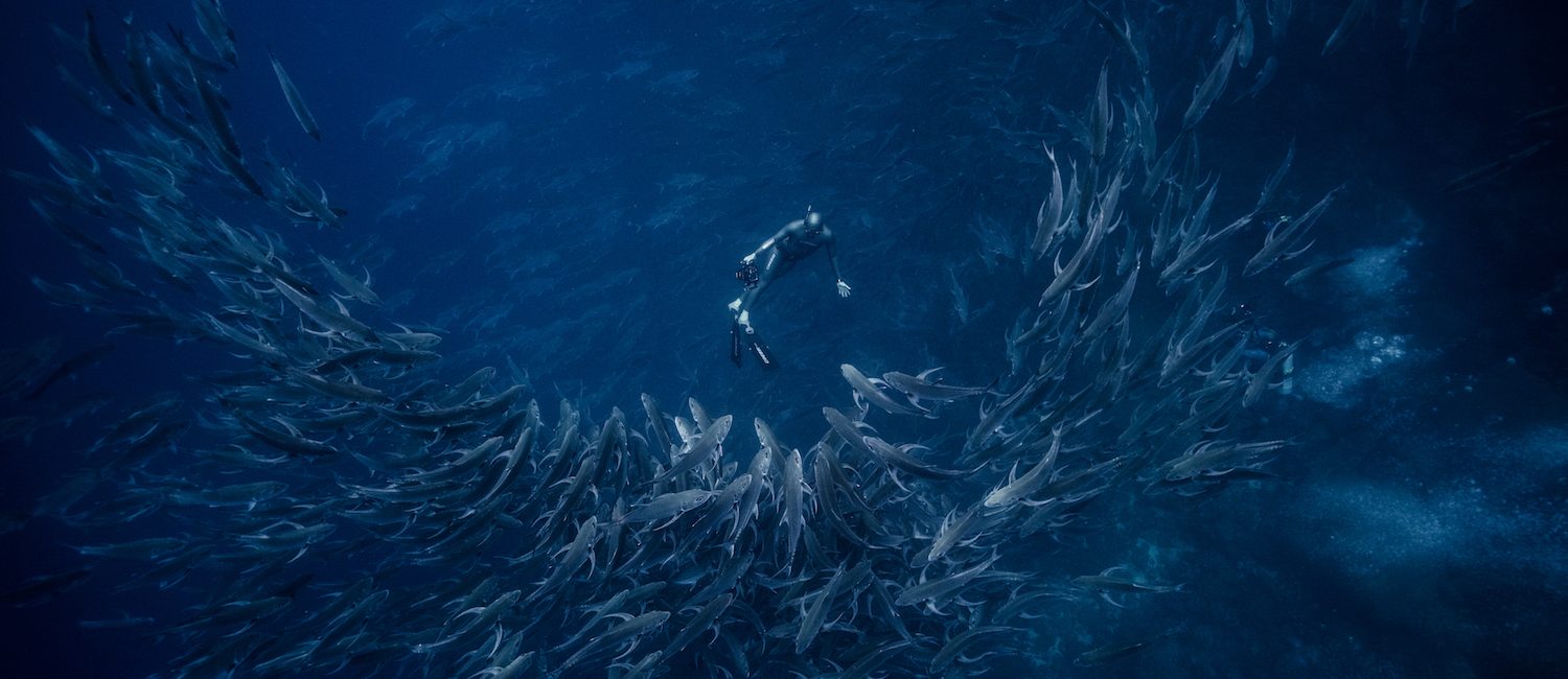 Galapagos Evolution – Coexisting Below the Surface