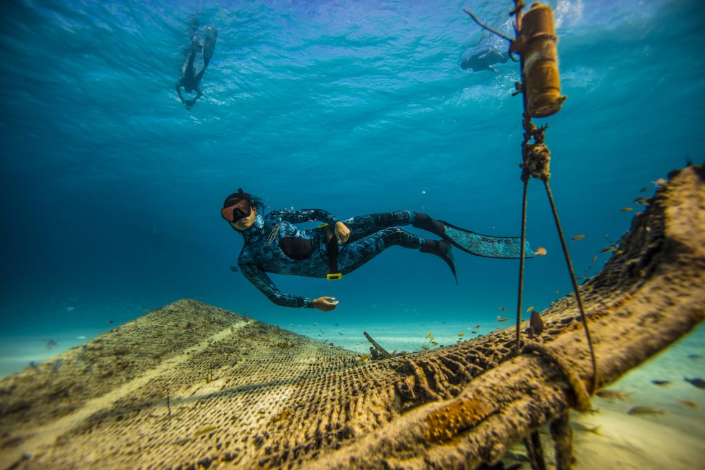 Are freediving masks safe for scuba diving? : r/scuba