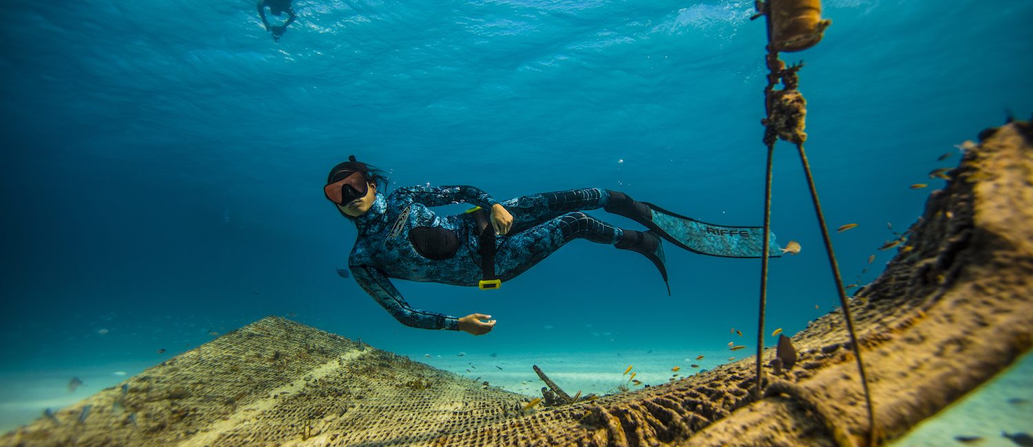 Difference Between Freediving and Snorkeling
