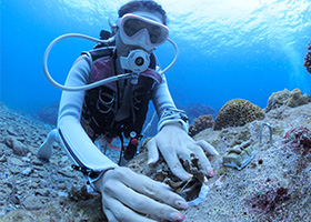 coral-conservation-volunteer-diver