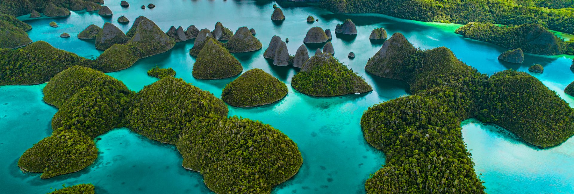 The Best Scuba Diving Resorts in Raja Ampat