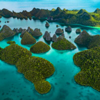 Diving Raja Ampat