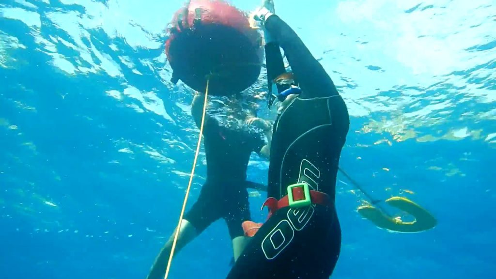 Teen freediving program via PADI