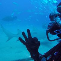 Maddie Kaufman inspiring PADI women contest winner