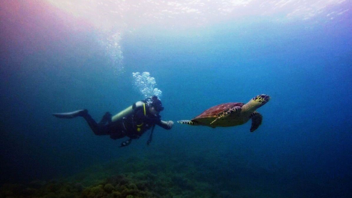 Bauan Diver's Sanctuary