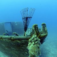 Liberty Bow Lust for Rust