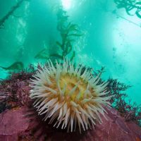 Photo: NOAA