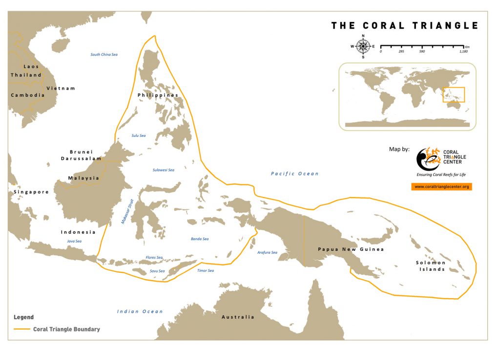map of coral triangle