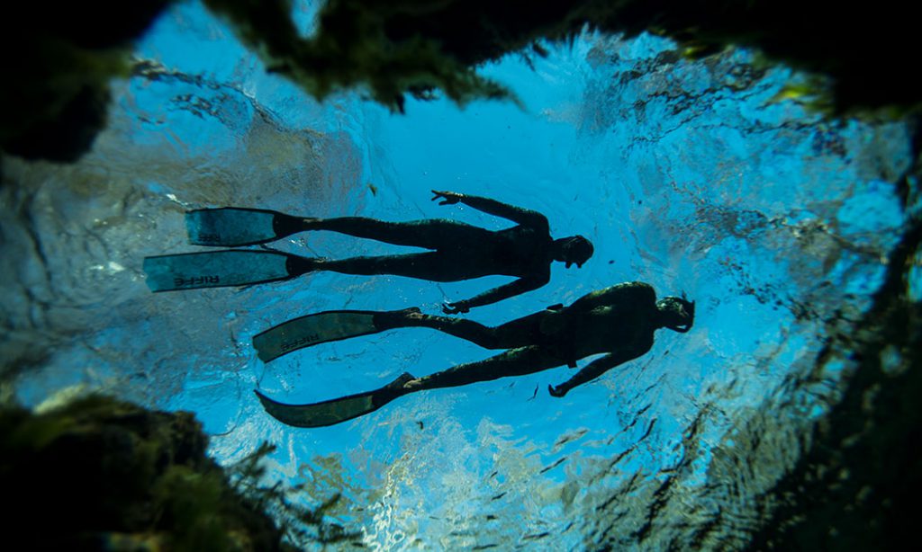 Freediving Blue Wild Expo