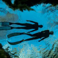 Freediving Blue Wild Expo