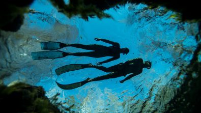 Freediving Blue Wild Expo