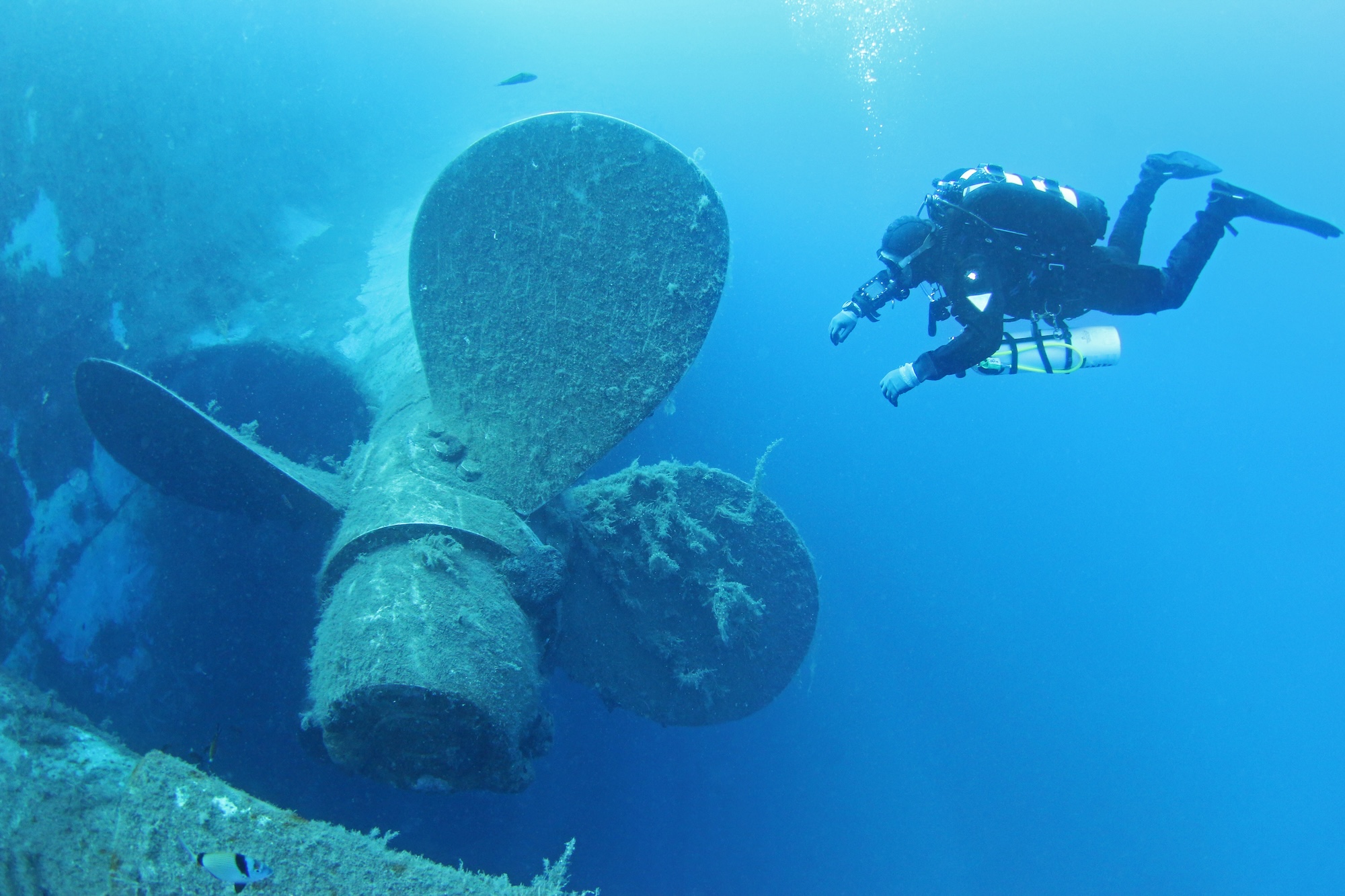 the zenobia wreck cyprus