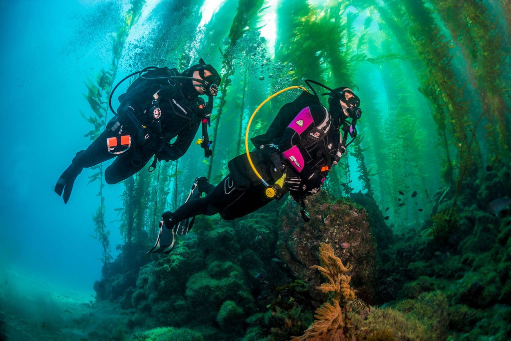 Scuba Diving Anacapa