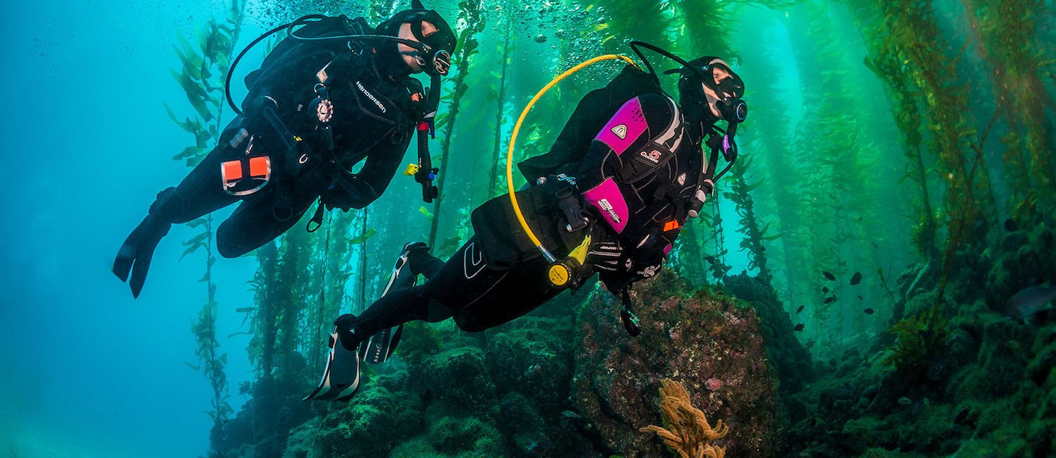 Scuba Show 2017