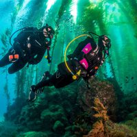Scuba Diving Anacapa