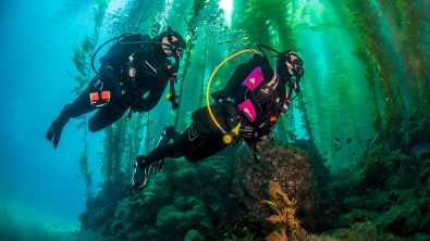 Scuba Diving Anacapa