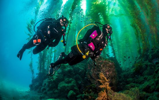 Scuba Diving Anacapa