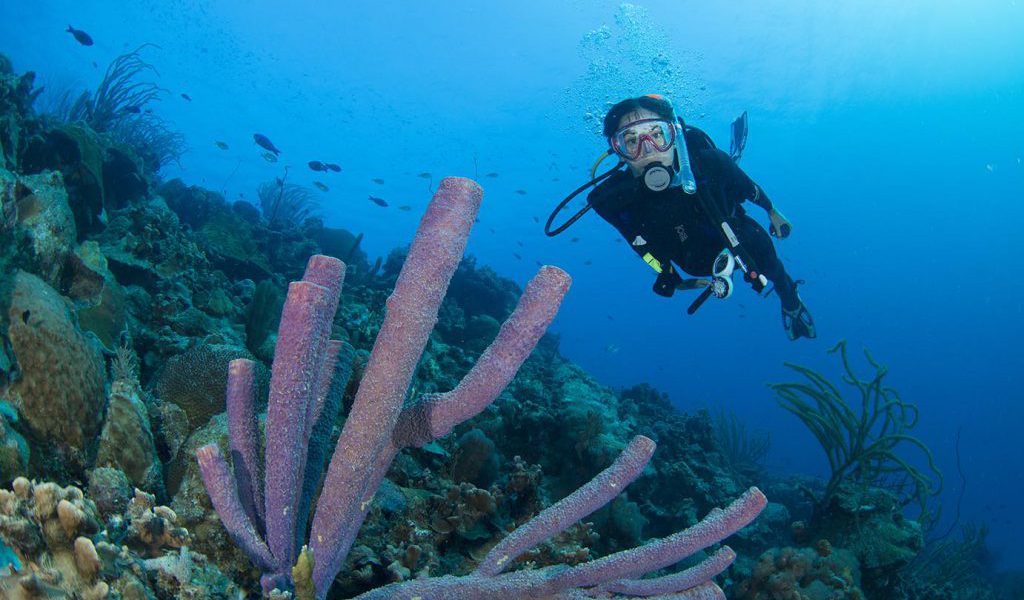 El curso Advanced Open Water Diver: 5 buceos para mejorar las técnicas
